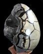 Septarian Dragon Egg Geode - Crystal Filled #37454-3